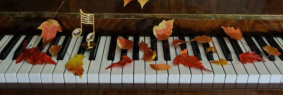 Kammerton Pianoservice